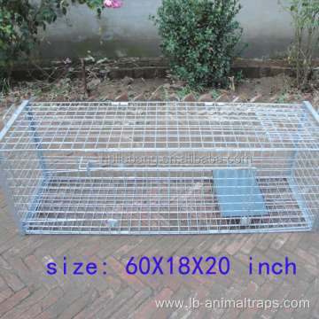 Humane Hunting Live Animal Cage Traps